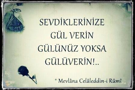 C:\Users\alialpercetin\Desktop\MEVLÂNÂ\Mevlana-5.jpg