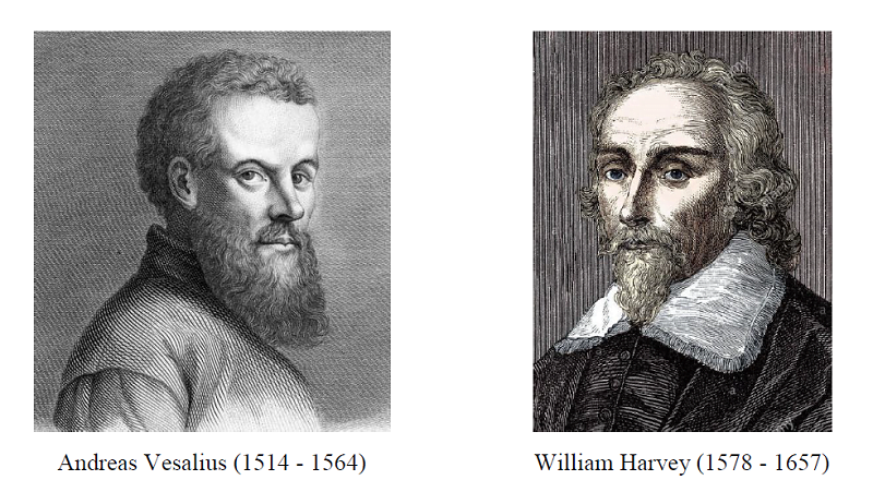 Andreas Vesalius William Harvey