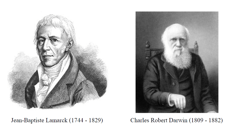 Lamarck Darwin