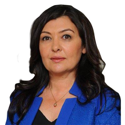 pervin kaplan