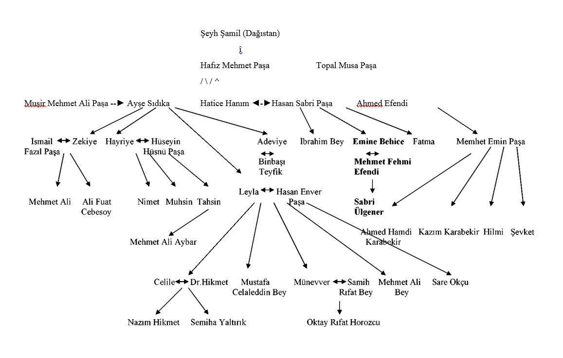 sabri ulgener soyagaci