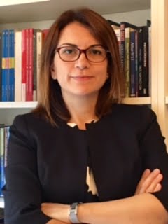 helin sari ertem