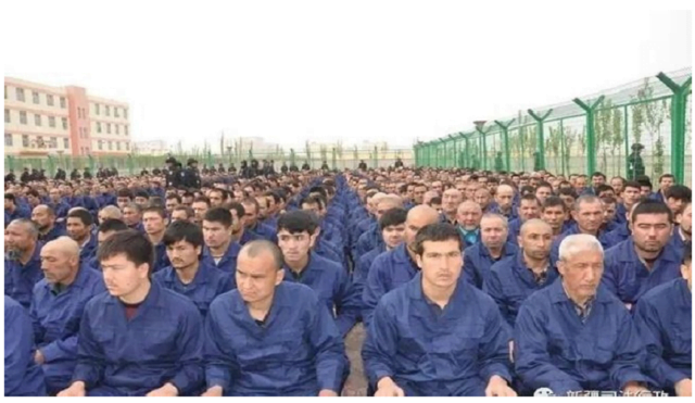 dogu turkistan 6