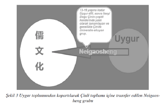 dogu turkistan3