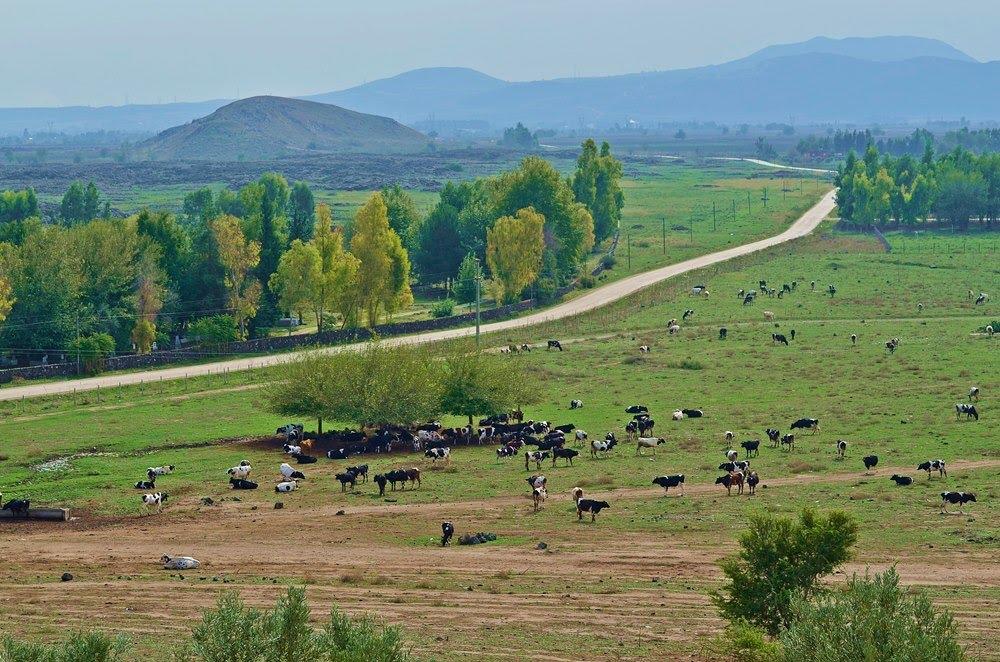 C:\Users\alialpercetin\Desktop\CERİDLER\Yiğit Bir Türkmen Aşireti CERİDLER (Yayın)\CERİT FOTO- LOGO\Cerid_5 Tatarlı Köyü.jpg