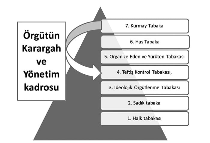 feto sema orgut yapisi