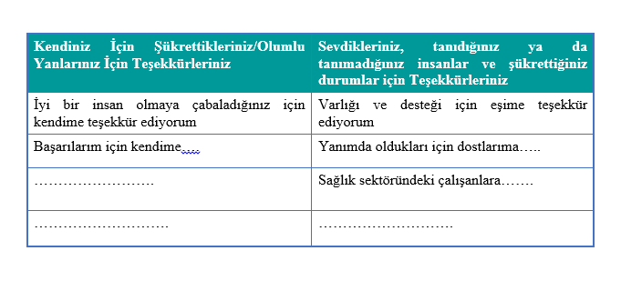 fatma sapmaz tablo2