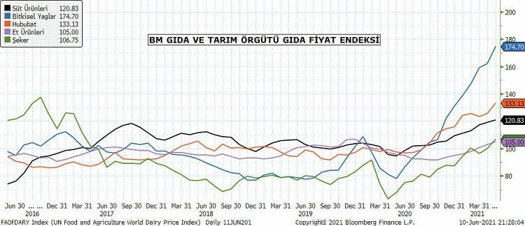 grafik gida fiyatlari endeksi.JPEG