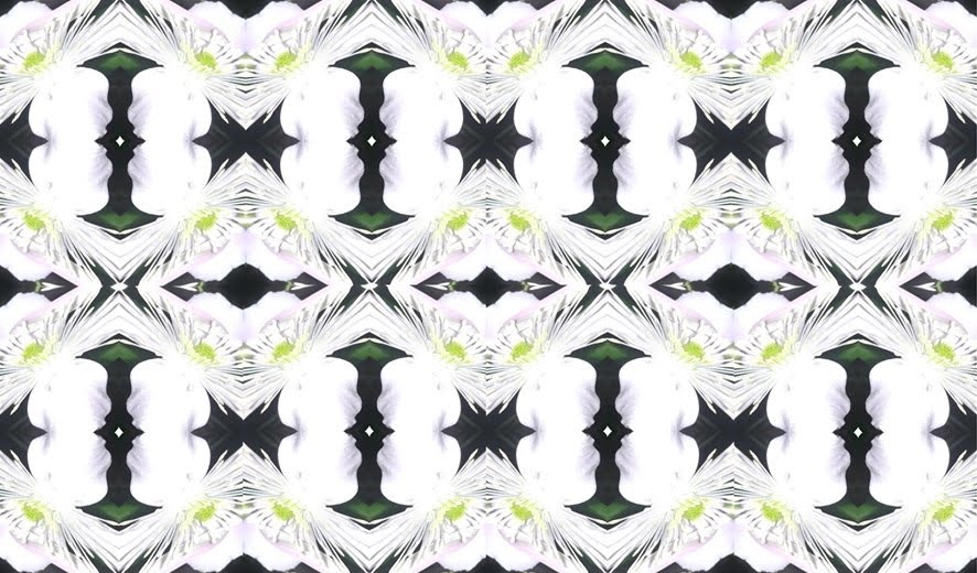 suzan cataloluk 2023.02.06 3 mavili kiz canfeda