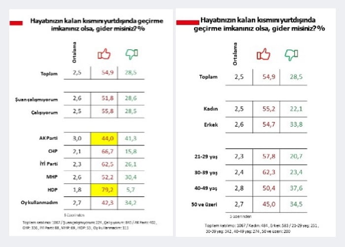 beyin gocu3 copy